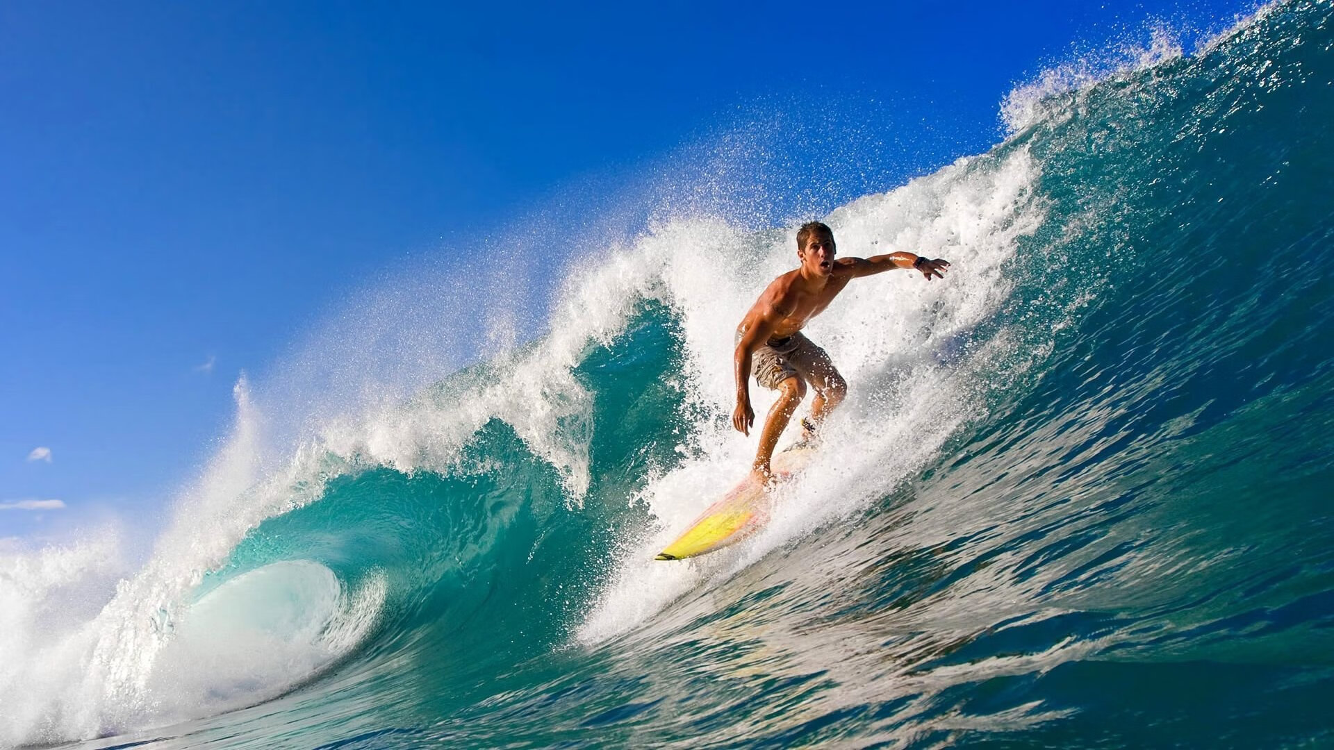 “荒野之战:沙丘与泥泞中的血战”,荒野之战电影